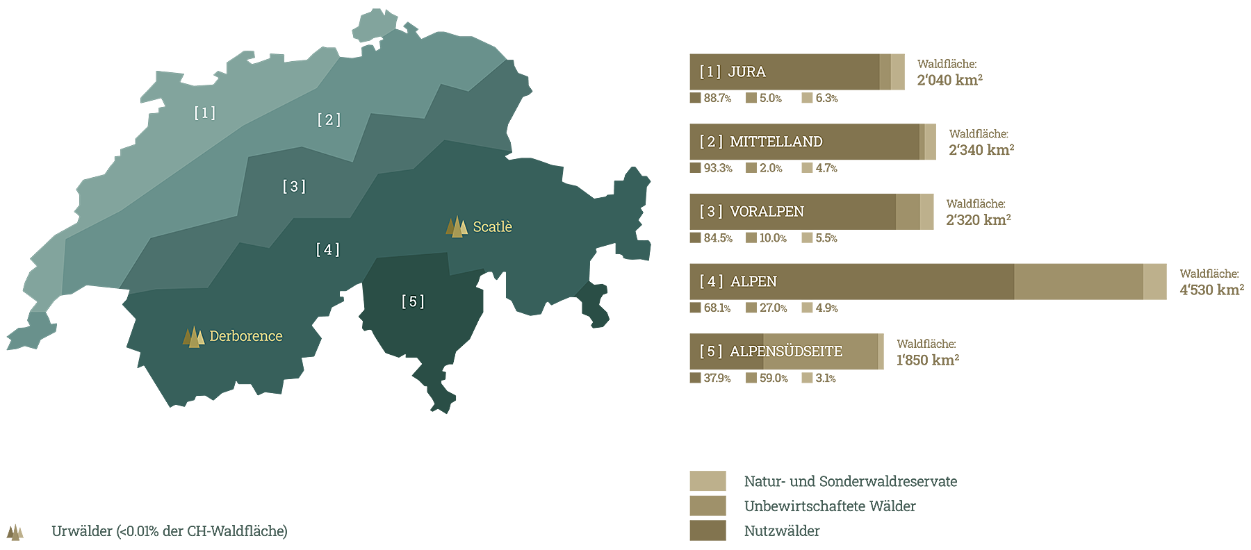 02-2-1_G_Vielschichtig_Waldarten der Schweiz_flat